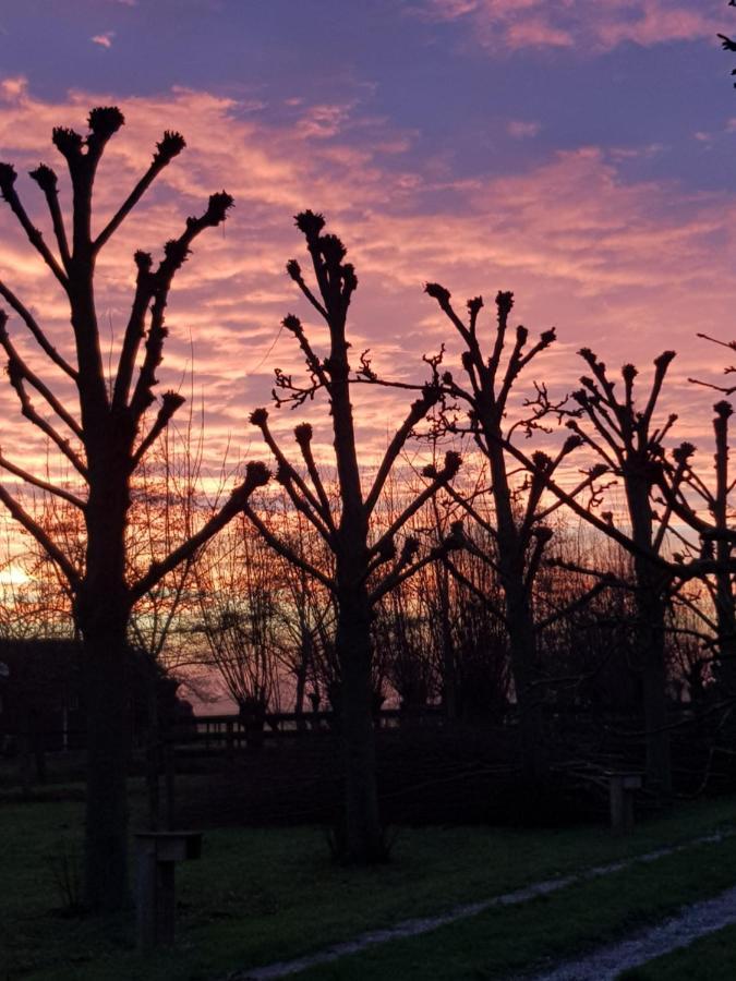 Pauwenstee Villa Stolwijk Dış mekan fotoğraf