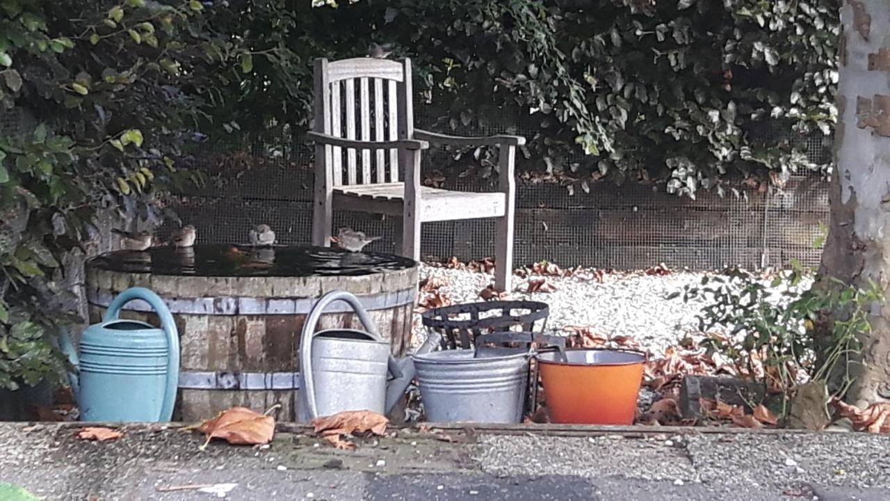 Pauwenstee Villa Stolwijk Dış mekan fotoğraf